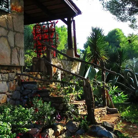 Semesterbostad Holiday Biserka - Quiet Place Milna (Brac)